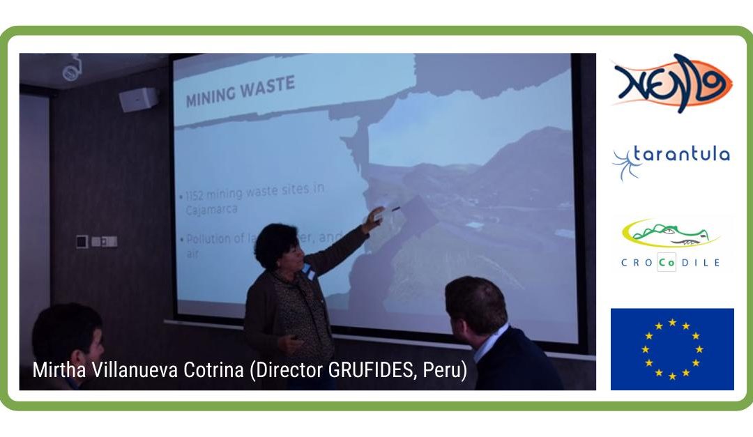 Global perspectives on reprocessing of mine tailings (High-level expert panel)
